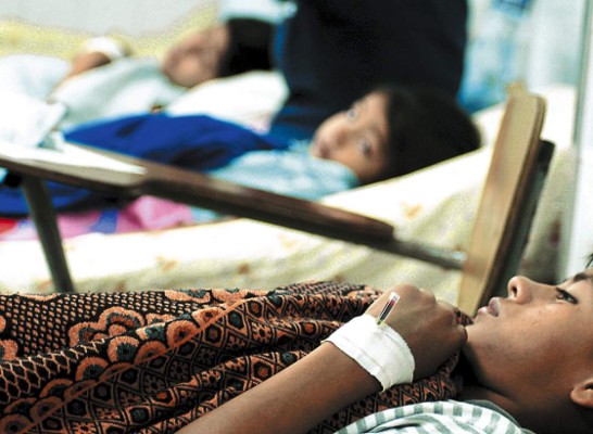 Con 30 mil casos de dengue culminó 2007