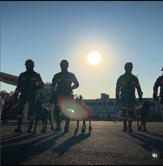 70 muertos: el costo de darle de baja a El Mencho, ¿qué pasó con la mujer que lo acompañaba?