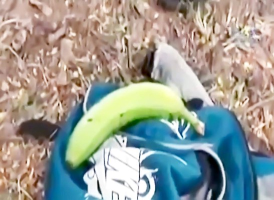 Con un banano camuflado como arma pretendía robar a universitario