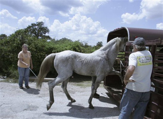 Houston decide aguardar a Ike en lugar de escapar