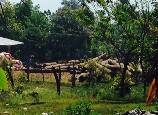 Marchan en protección de recursos naturales en Yoro