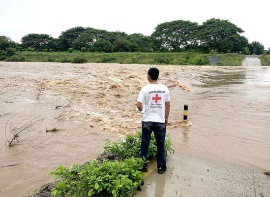Secretaría de Agricultura cuantifica pérdidas por inundaciones