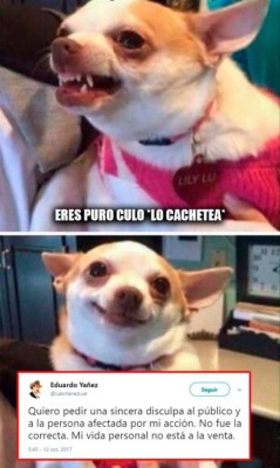 Las disculpas de Eduardo Yáñez también han generado varios memes.