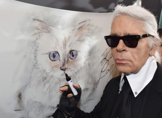 ¿Irá la herencia de Karl Lagerfeld a su gata?