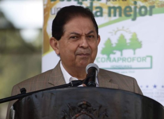 Acusaciones contra el Partido Nacional son absurdas: Alcerro