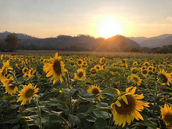 Cinco sitios turísticos para celebrar el amor y la amistad