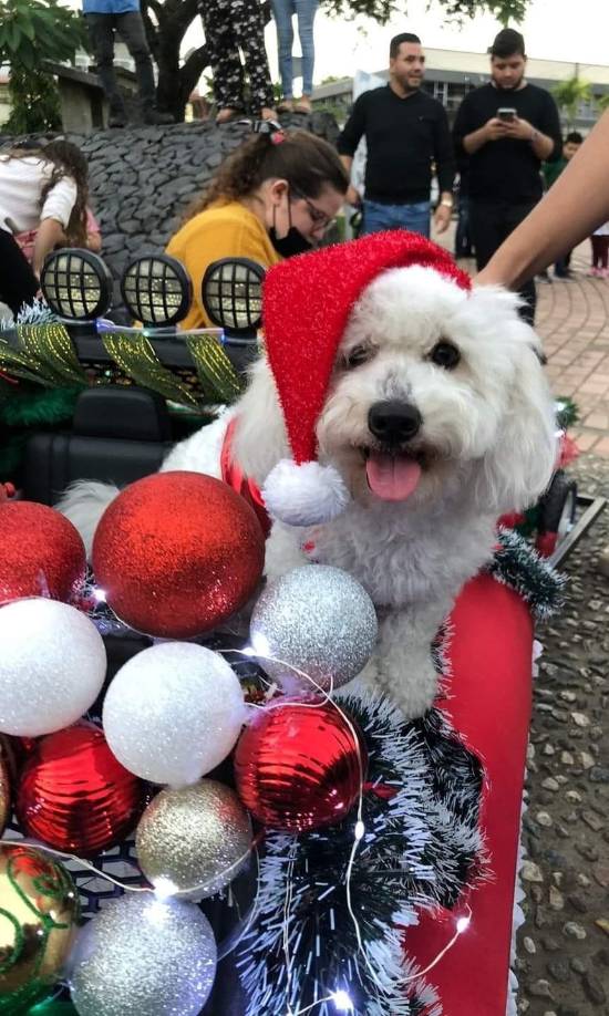 La primera actividad de este viernes 1 de diciembre será la inauguración. Los actos están programados para las 7:00 pm en el parque central.
