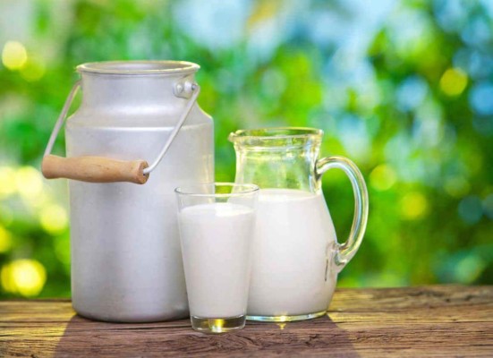 Leche de yegua, ideal para la piel