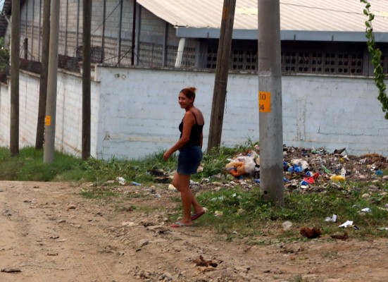 Durante cinco días destruirán criaderos de zancudos en San Pedro Sula