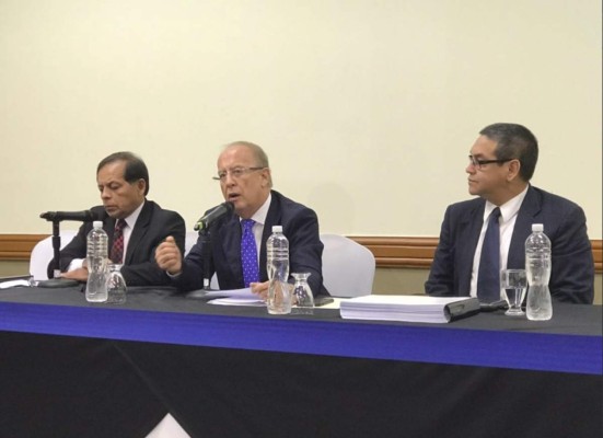 'OEA utiliza un argumento falaz para dañar elecciones”: Dale Vucanovich