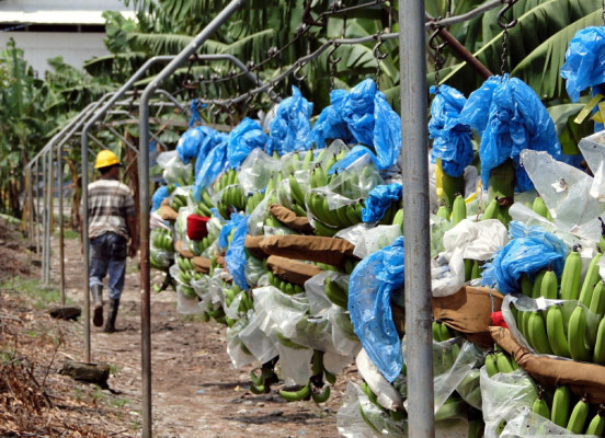 Demandarán a empresas para que paguen impuesto