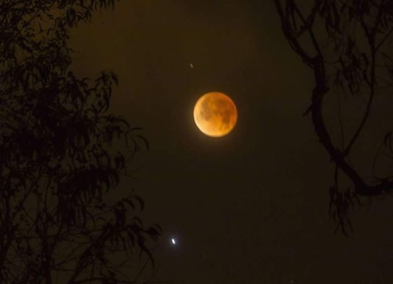 Eclipse total de luna se verá en Honduras el 8 de octubre