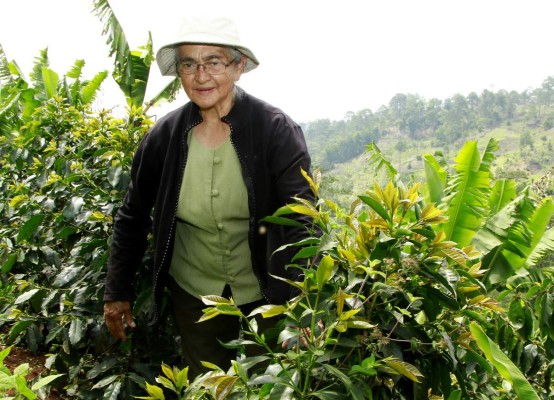 Productores hondureños piden mayor acceso al crédito