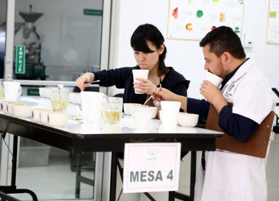 Compiten por máxima presea en la Taza de Excelencia 2015