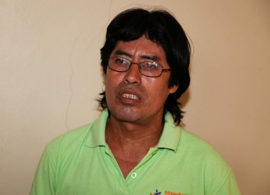 Violencia se aleja de las fincas de palma africana en el Bajo Aguán