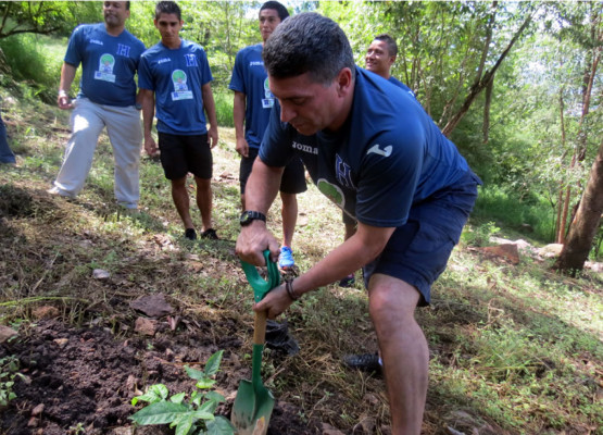 La Bicolor quiere una Honduras verde