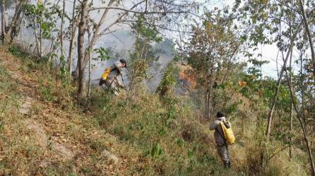 Los bomberos encuentran pedazos de vidrio en las zonas que atienden por lo que buscan crear conciencia en la población sobre los efectos que puede tener con los rayos de sol y la vegetación seca más las altas temperaturas,