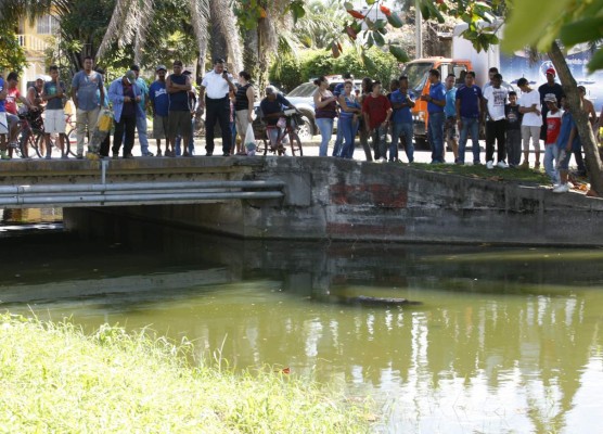 Encuentran flotando cadáver de joven garífuna en el estero ceibeño