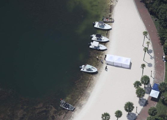 Caimán atrapó a niño en menos de 30 segundos, narra testigo