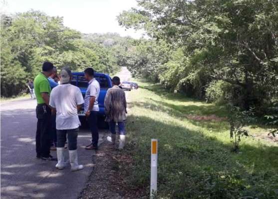 Putrefacta hallan a una mujer en carretera a Ticamaya