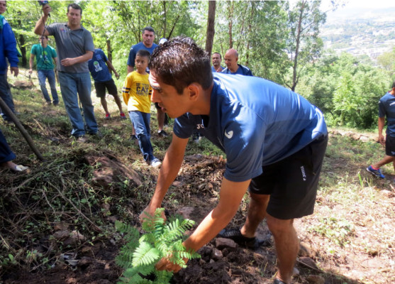 La Bicolor quiere una Honduras verde