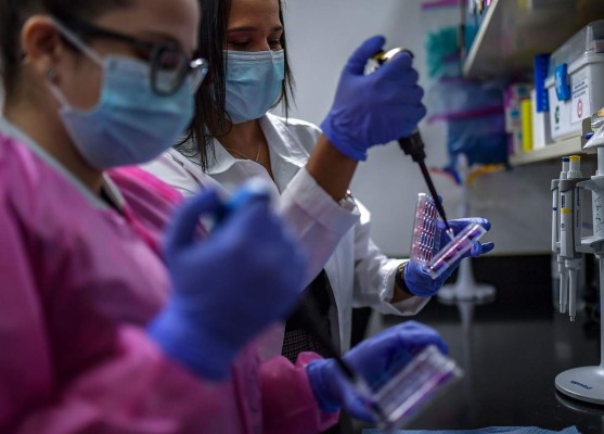 Panamá investiga tratamiento contra la COVID-19 basado en células madre