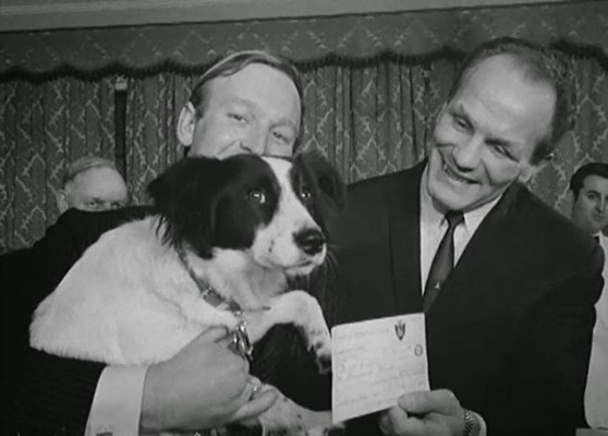 Curiosidades de los mundiales que todo fanático debe conocer