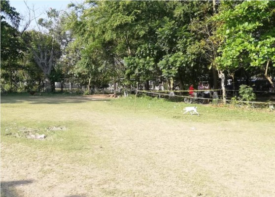 Ultiman a joven en una colonia de Choloma, Cortés