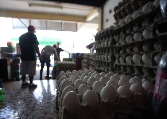 Avicultores garantizan producción de huevos