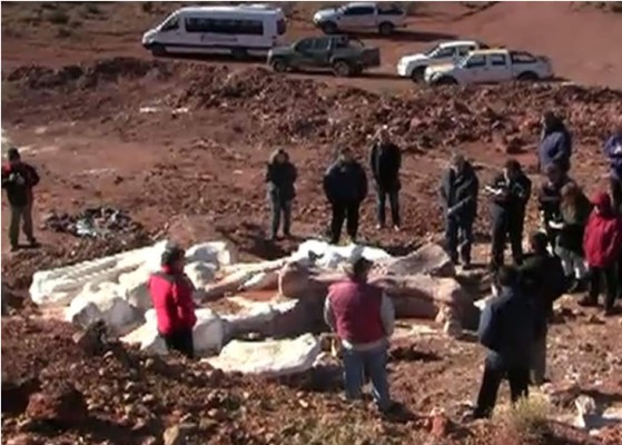 Encuentran fósiles de dinosaurios gigantes en Argentina  