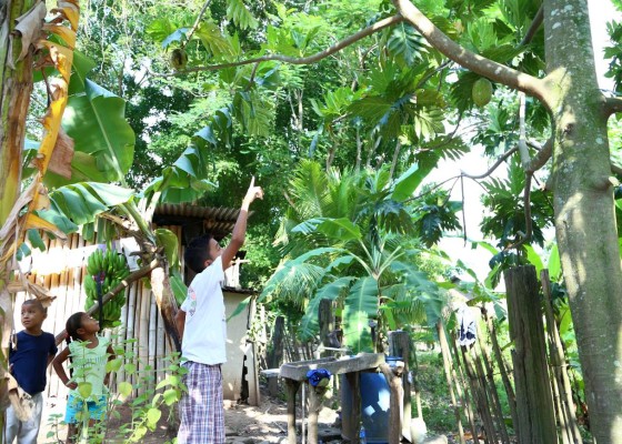 Ni una cirugía detuvo sueño de niño diputado