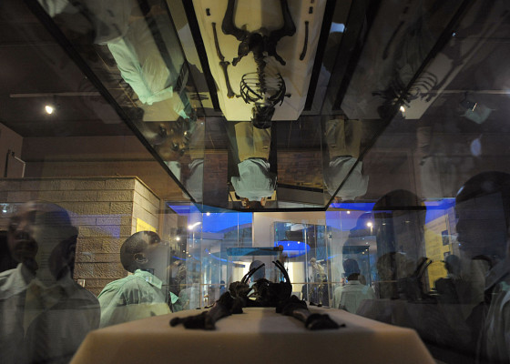 Kenia, ' cuna de la humanidad”