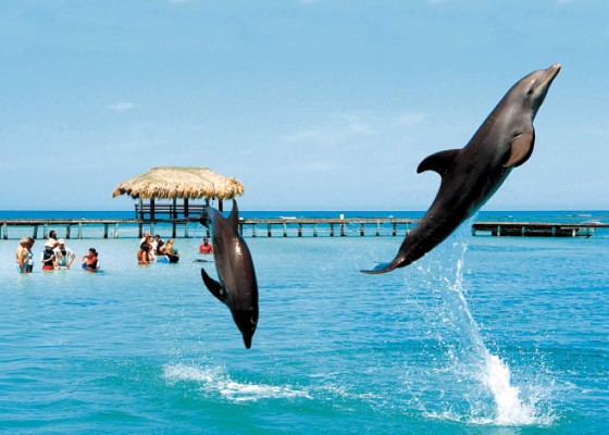 Honduras hechiza a los famosos