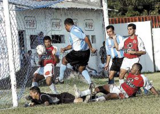 Los cocoteros salieron vivos de la caldera