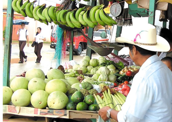Buscan terreno para mercado de abastos