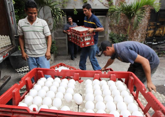 La industria avícola hondureña generará más empleo
