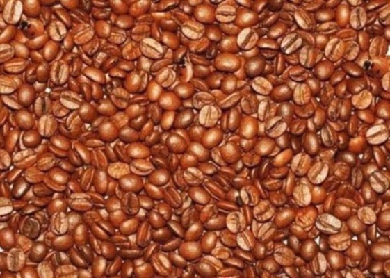 ¿Puedes encontrar los tres bebés entre los granos de café?