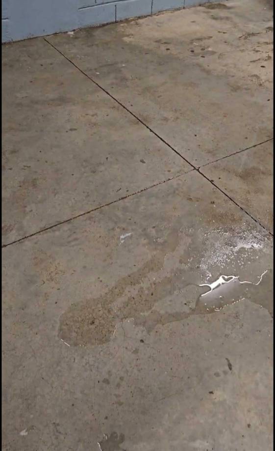 Las pésimas condiciones del camerino asignado a Olimpia en estadio de Choluteca vs UPN