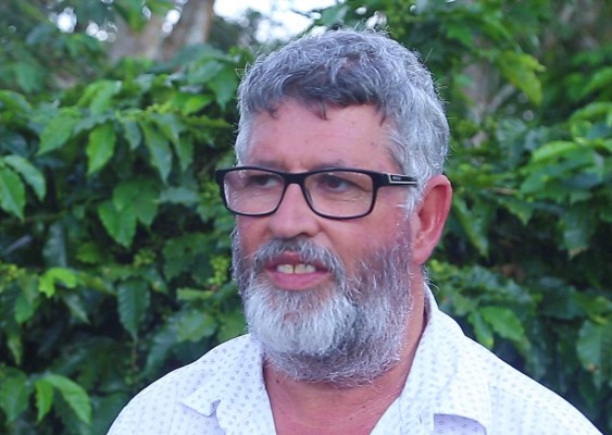 Corte de café comienza a dinamizar la economía