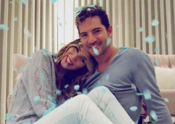 David Bisbal y Rosanna Zanetti tendrán un varón