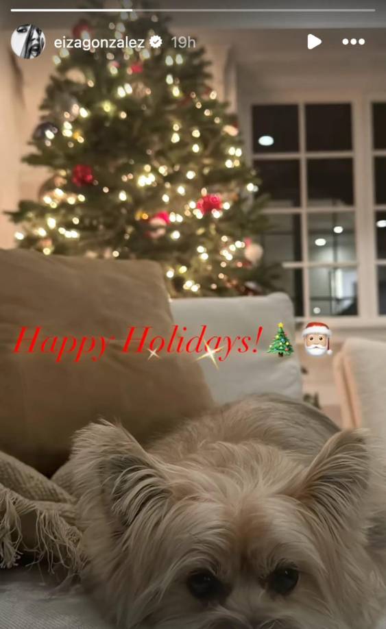 La mexicana Eiza Gonzáles por fin se dio un tiempo para descansar de su exitosa carrera laboral y disfrutar de su pino decorado al <b>estilo clásico con toques rojizos</b> en compañía de su mascota de su la comodidad de su sillón.