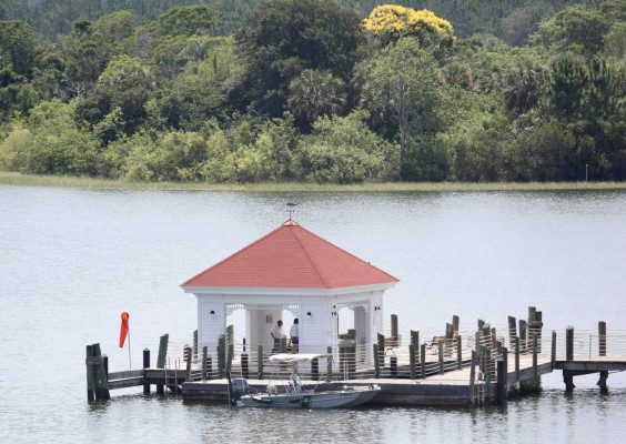 Policía confirma muerte de niño arrastrado por caimán en Disney