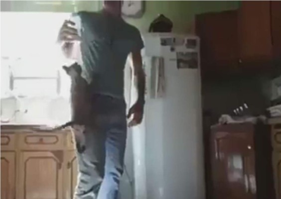 Gato trepa por la pierna de su amo para tomarse su biberón