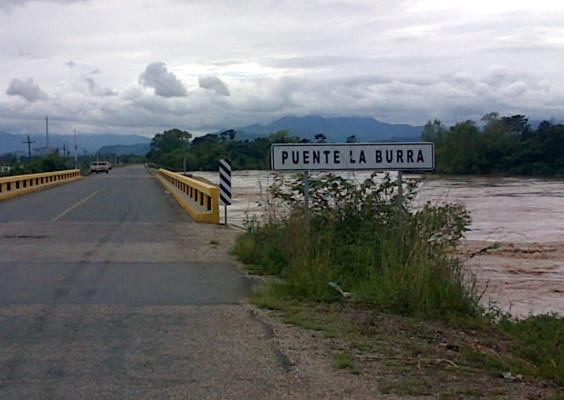 Pérdidas millonarias deja el desbordamiento del río Aguán