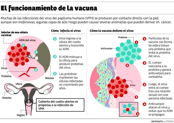 Salud incorporará a esquema la vacuna contra virus de papiloma