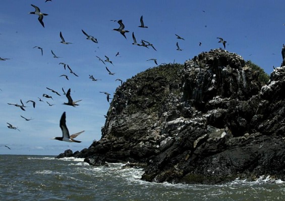 Por los encantos escondidos de Punta Sal