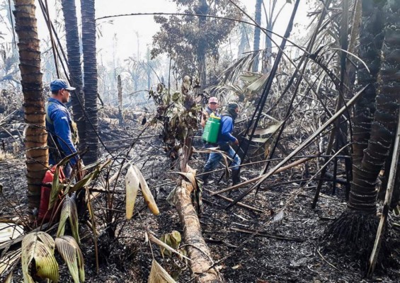 Nicaragua rechaza ayuda de Costa Rica para controlar incendio
