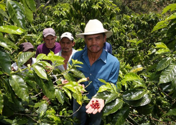 Eulogio Martínez, el jornalero al que el cultivo de café le cambió la vida