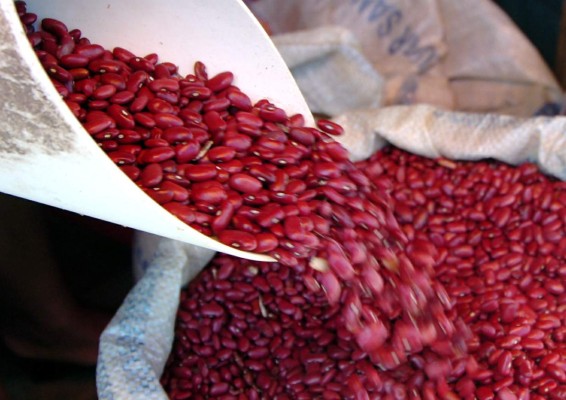 Gobierno anuncia llegada de más frijoles