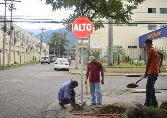 Realizan trabajos de señalización vertical